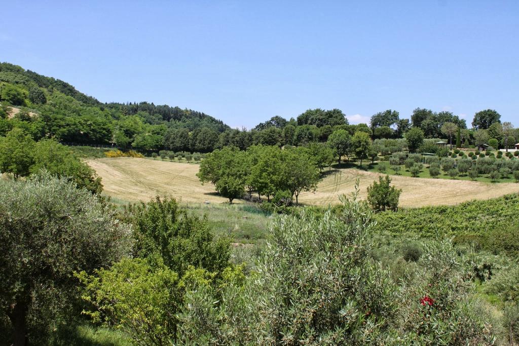 Villa Melagrana Fano Chambre photo